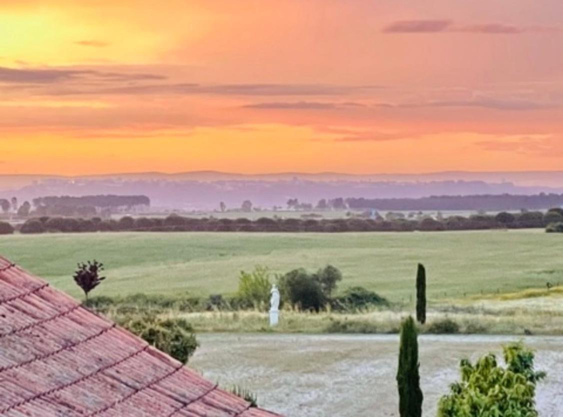 Herdade De Santa Maria Almeirim Exteriör bild