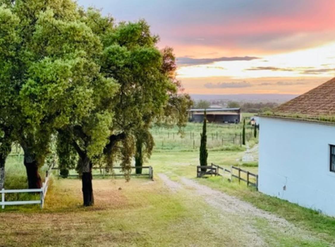 Herdade De Santa Maria Almeirim Exteriör bild