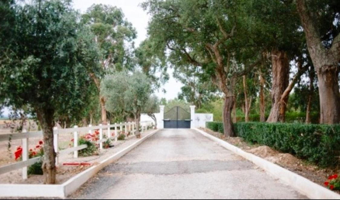 Herdade De Santa Maria Almeirim Exteriör bild