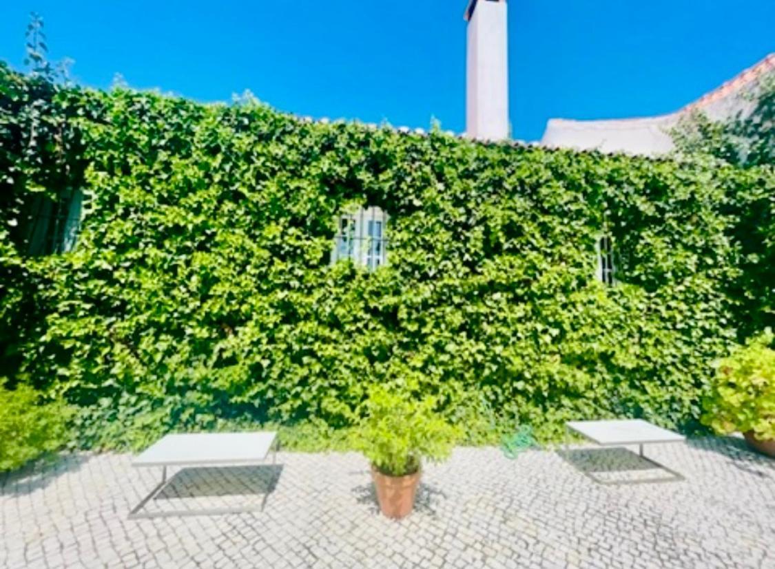 Herdade De Santa Maria Almeirim Exteriör bild